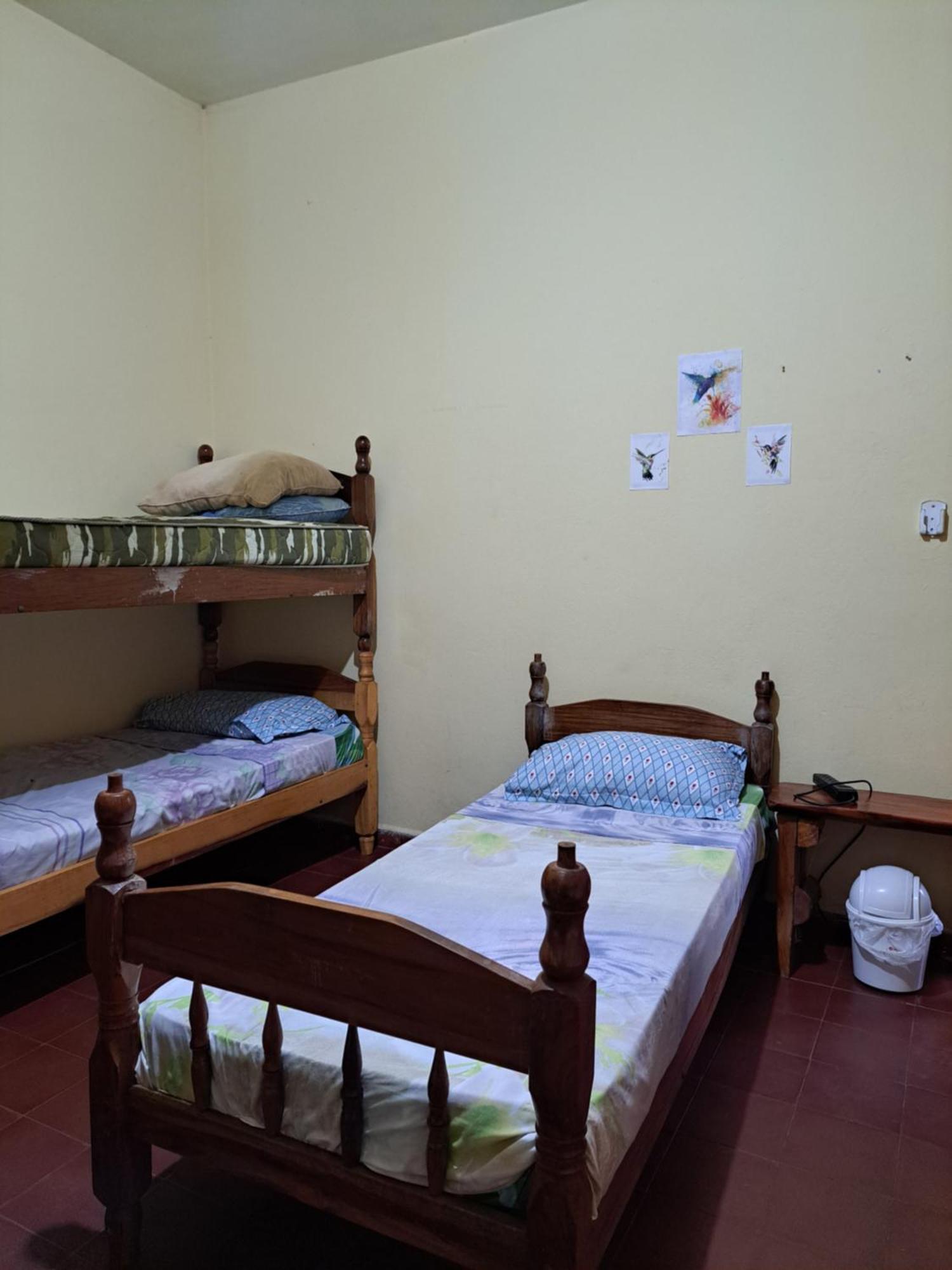 Hummingbird Hostel Сиудад дел Есте Екстериор снимка