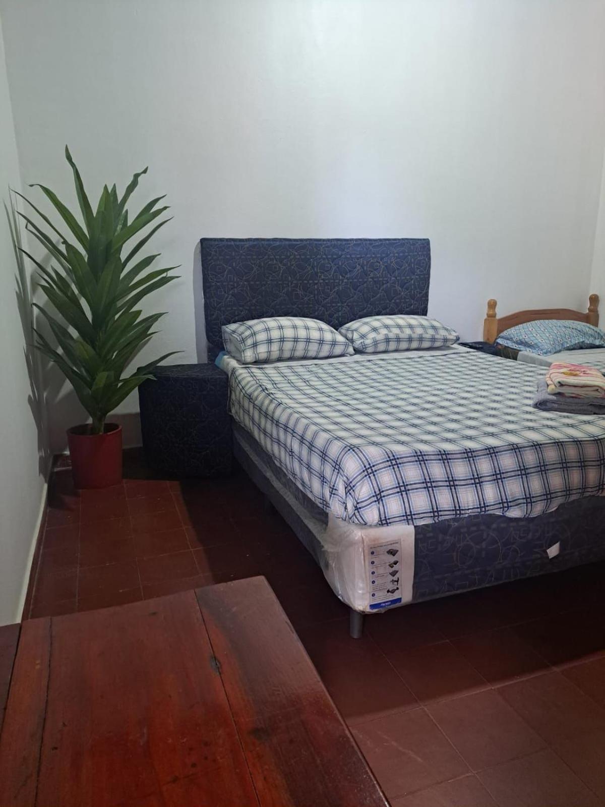Hummingbird Hostel Сиудад дел Есте Екстериор снимка