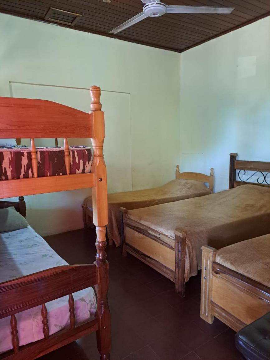 Hummingbird Hostel Сиудад дел Есте Екстериор снимка
