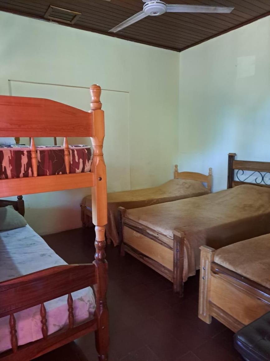 Hummingbird Hostel Сиудад дел Есте Екстериор снимка